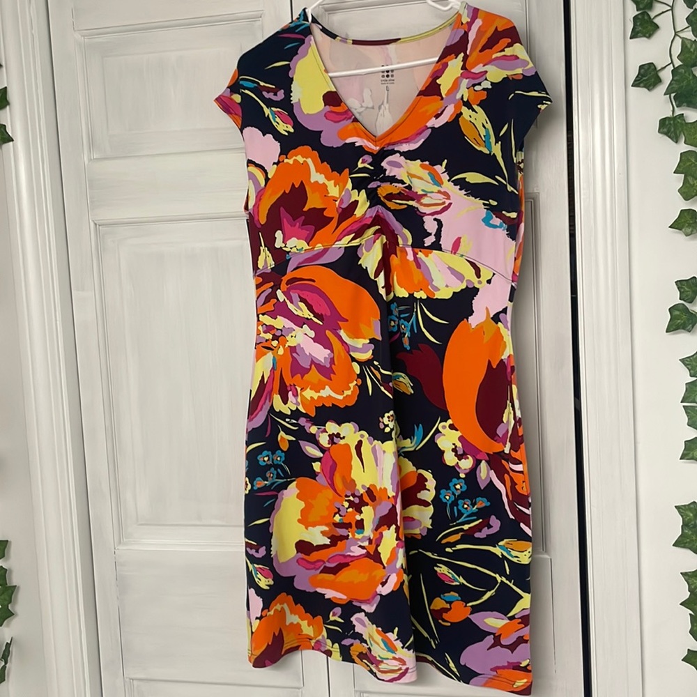 Title nine dress